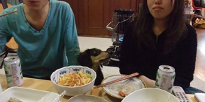 犬2