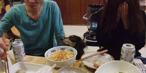 犬3