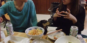 犬4