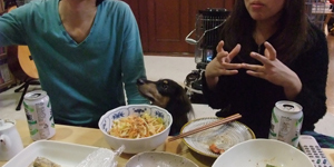犬5