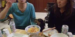 犬6