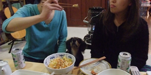 犬7