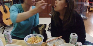犬8