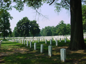 washingtonX.jpg