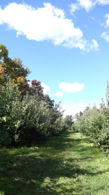 DSC02132.JPG