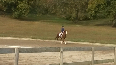 20131019_094952.jpg
