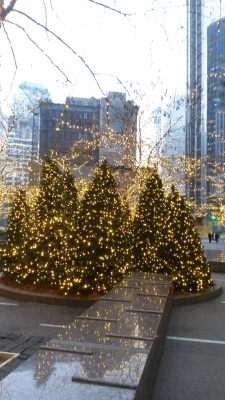 20131204_162640.jpg