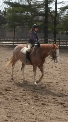 20140322_133913.jpg
