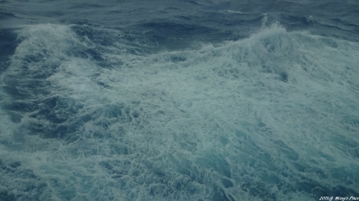 DSC00570_wm.jpg