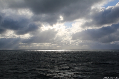 IMG_1583_wm.jpg