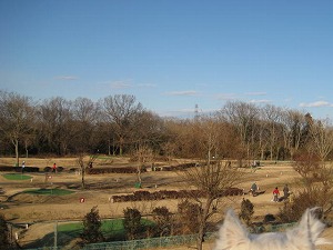 空から見た東松山市 134 都幾川リバーサイドパーク 2011年6月 Go Go 嵐山 ３