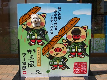20100910-akagikougen-sa-1