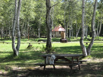 20100910-shizenhanaen-campground-1