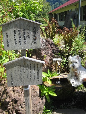 20100910-hotakanogensen-1