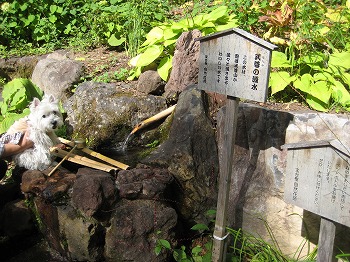 20100910-hotakanogensen-2