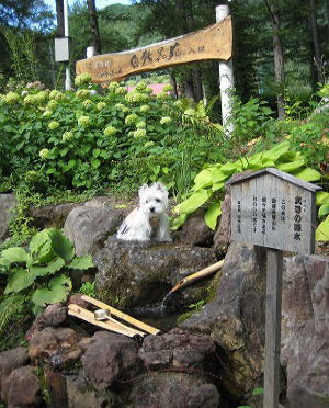 20100910-hotakanogensen-3