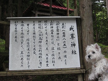 20100910-hotakajinjya-1