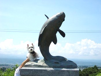 20100819-sakudaira-pa-2