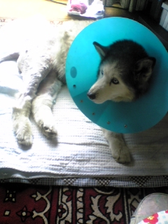 20070428_304323.jpg
