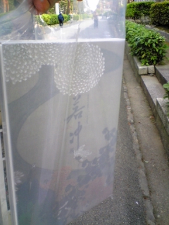 20070524_312912.jpg