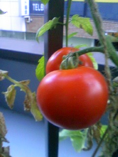 120819_1747~01.jpg