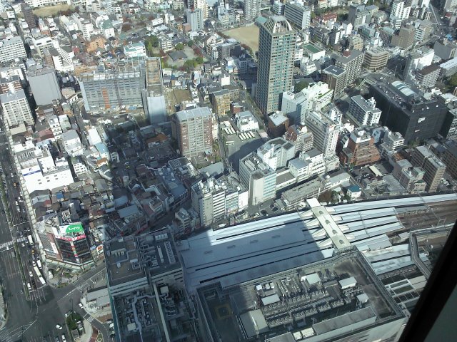 Picture111014_125016.jpg