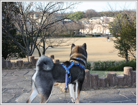 遊びたい…