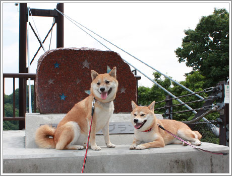 乗りました3