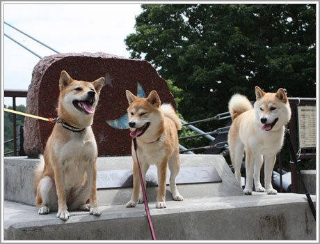 乗りました6