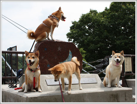 乗りました7