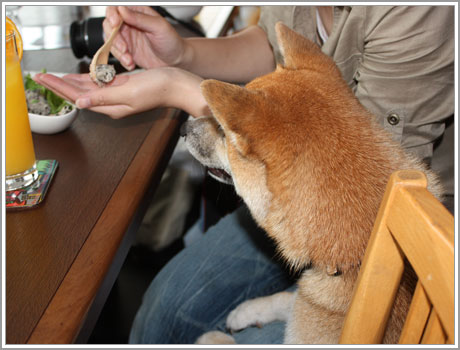 おねだり