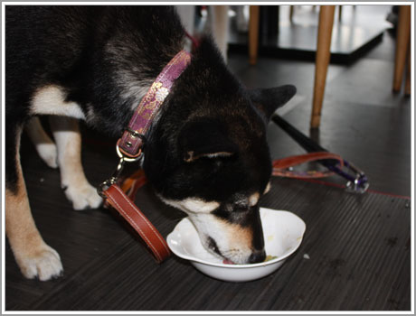 食事中