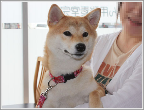 なーんてね