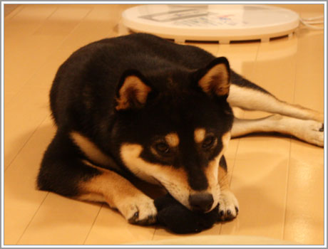 いじけ虫〜最終形態〜