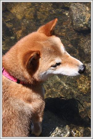 過ぎ去りし夏の日06