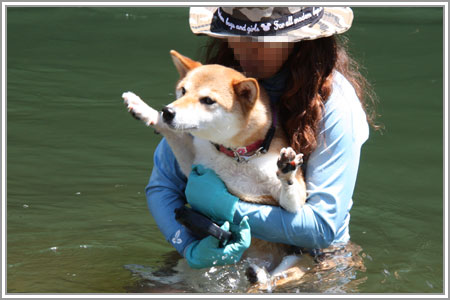 過ぎ去りし夏の日14