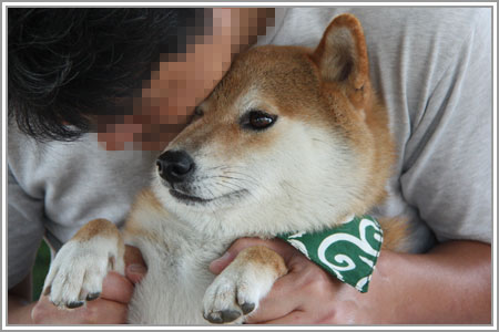 丹波篠山味まつり01