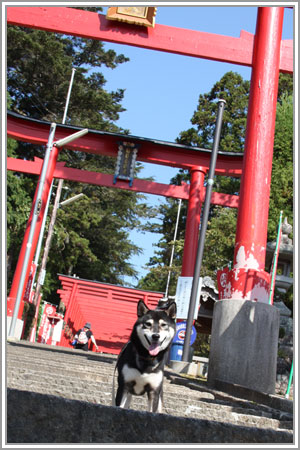 丹波篠山味まつり19