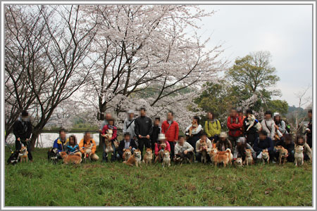2013山の辺04