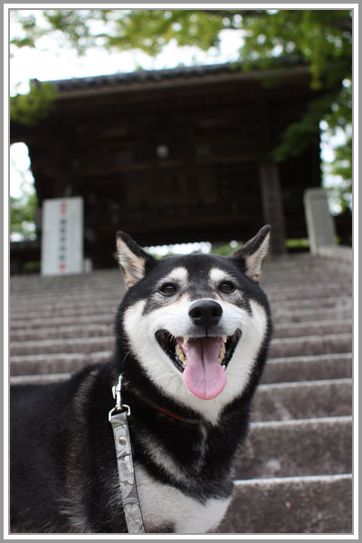 2013修善寺01
