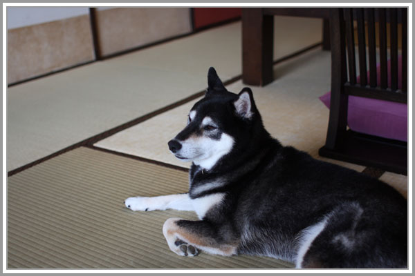2013修善寺14