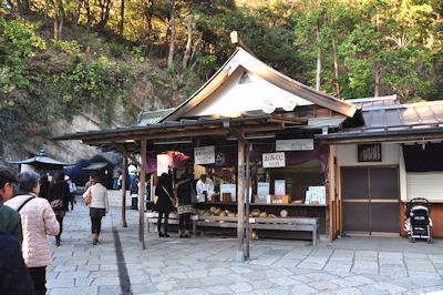 鎌倉 ペット お散歩 源氏山公園