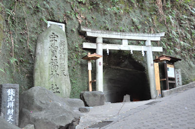 鎌倉 ペット お散歩 黒プー