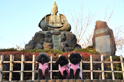 鎌倉 ペット お散歩 ブログ