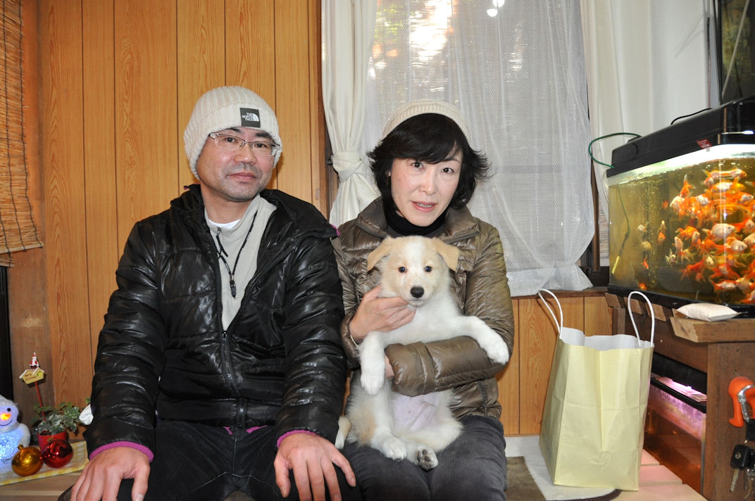 ボーダーコリー オーナー様決まりました 子犬