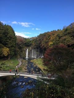 iPhoneImage.png