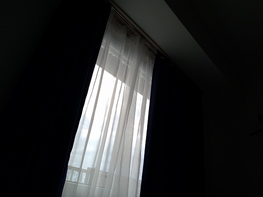 P_20191103_065150.jpg