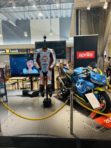 PSA9以下 17枚まとめ売り ドアクローザー PS-3002ZAM（網戸併用タイプ）｜ニュースター