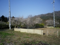 うめー1