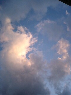 081001_1730~0001.jpg
